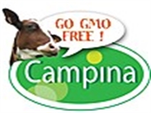  Campina